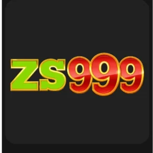 ZS999